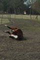 picture thumbnail
